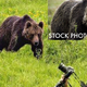 Illustration for article titled Behind the scenes of "behind the scenes at National Geographic"